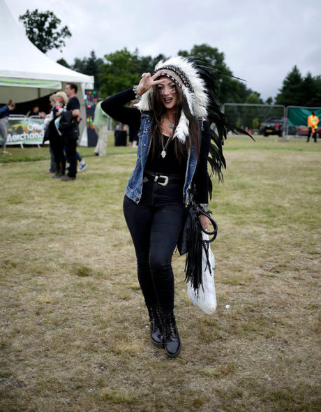 Zepplin Fan portrait at Forestry Commission concert in the Park near Birmingham